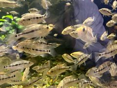 -石林冰雪海洋世界