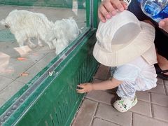 -秦皇岛野生动物园