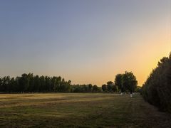 -汉长安城未央宫国家考古遗址公园