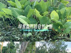 -白沙门生态公园