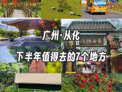 -广州市石门国家森林公园