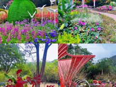 -广州市白云山风景名胜区