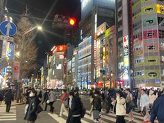 -秋叶原电器街