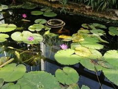 -国家植物园南园