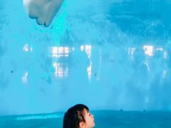 -泉城欧乐堡海洋极地世界