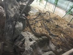 -荔城生鲜盛宴(番禺旗舰店)
