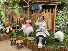 -济州岛泰迪熊博物馆