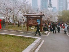 -西北湖绿化广场