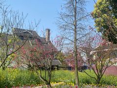 -东钱湖旅游度假区