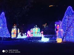 -飞凤山奥体公园