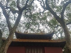 -普陀山风景名胜区-法雨禅寺