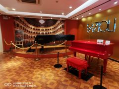 -柏斯琴行(汾阳店)