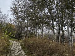 -马家湾湿地公园