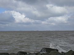-吴淞炮台湾湿地森林公园烧烤区
