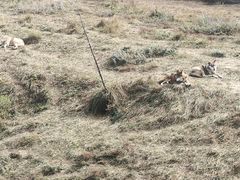 -鄂尔多斯野生动物园