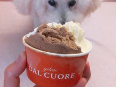 -Dal Cuore 达可芮冰淇淋(陕西北路店)