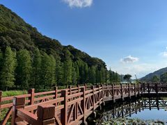 -广州市石门国家森林公园