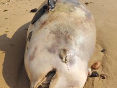 -东戴河风景区-止锚湾