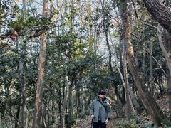 -虞山风景区