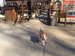 iphone_upload_pic-北京水岸山吧度假村(雁栖镇店)
