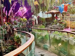 -正佳雨林生态植物园