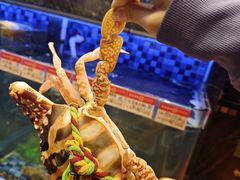 -吴记富苑(朝阳店)