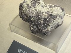 -安徽省地质博物馆