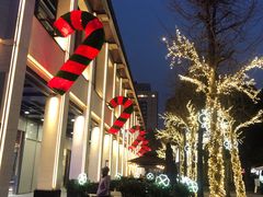 -南方迷宗大包(湖滨店)