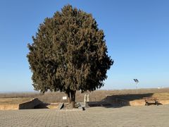 -秦始皇帝陵博物院-丽山园