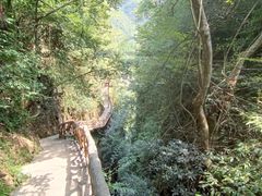 -鹿院坪生态旅游景区