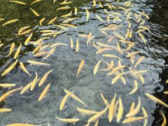 -本溪关山湖风景区