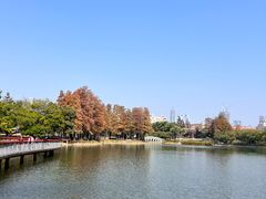 -四海公园(南山区)