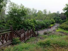 -大渡口区义渡公园