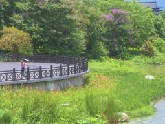 -海珠湖公园