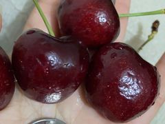 -菜园坝水果市场