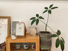 -团子君寿司·茶