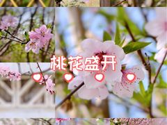 -雅达·阳羡溪山小镇中心