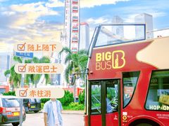 -Big Bus Tours 敞篷观光巴士
