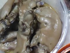 -丁老爷子苏香圆