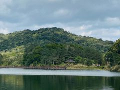 -海南热带雨林国家公园吊罗山景区