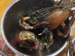 -养牛邓·潮汕牛肉海鲜自助火锅(广州店)