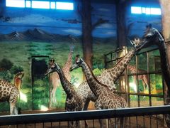 -鄂尔多斯野生动物园