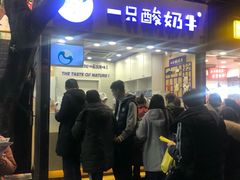 门面-一只酸奶牛(八一路店)