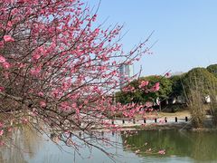 -白塘生态植物园