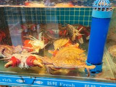 -鲜鲜·鲅鱼圈海鲜(于洪店)