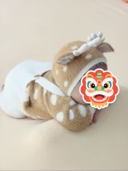 -玛瑞莎孕婴童摄影到家拍