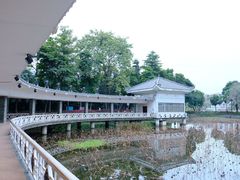 -荔湾湖公园
