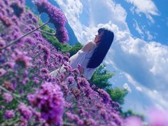 -大理洱海