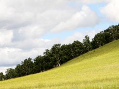 IMG_9656-木兰围场