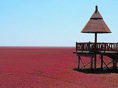 -红海滩国家风景廊道